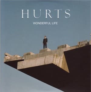 Wonderful Life
