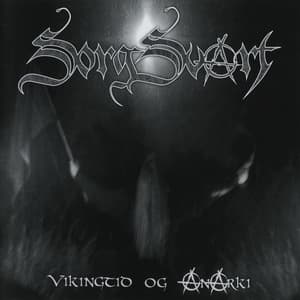 Vikingtid Og Anarki