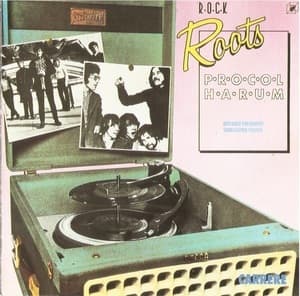 Rock Roots