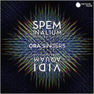 Spem in alium. Vidi aquam