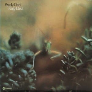 Katy Lied