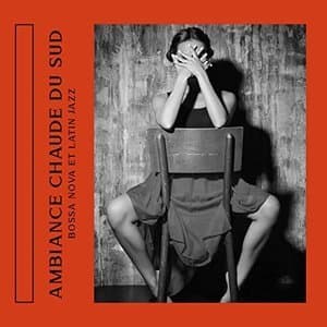Ambiance chaude du sud: Bossa Nova Et Latin Jazz
