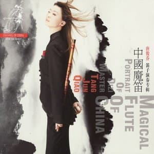 Magical Flute of China