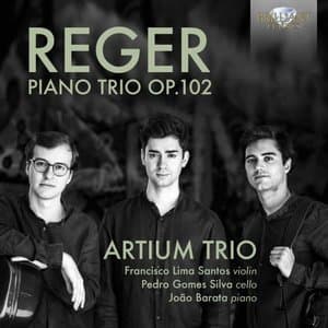 Reger: Piano Trio, Op. 102