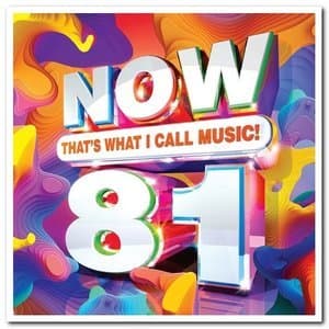 Now That's What I Call Music! 81