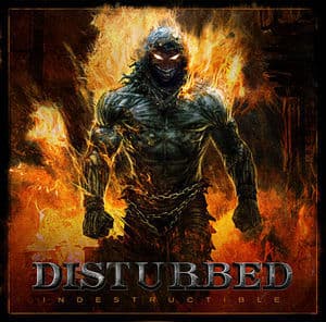 Indestructible (24b/96 kHz) [VinylRip]