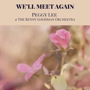We'll Meet Again
