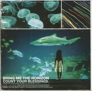 Count Your Blessings