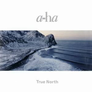 True North