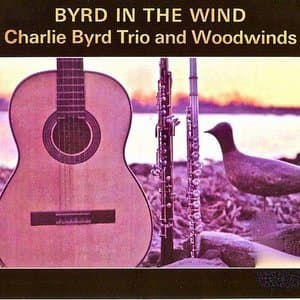 Byrd In The Wind