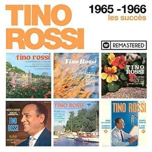 1965-1966 : Les succes