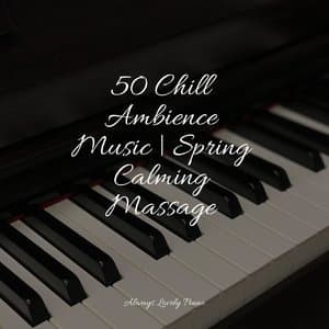 50 Chill Ambience Music | Spring Calming Massage