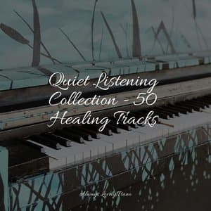 Quiet Listening Collection - 50 Healing Tracks