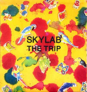 The Trip [CDM]