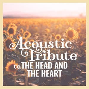 Acoustic Tribute to The Head and The Heart (Instrumental)