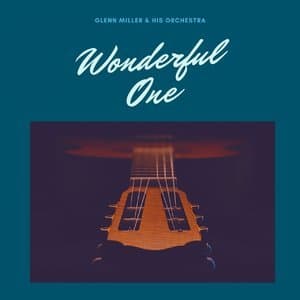 Wonderful One