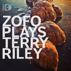 ZOFO plays Terry Riley