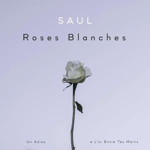 Roses Blanches