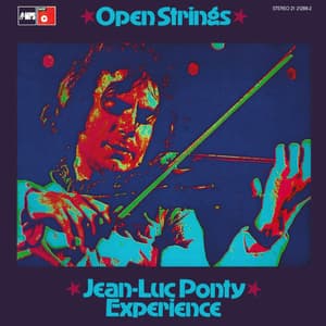 Open Strings