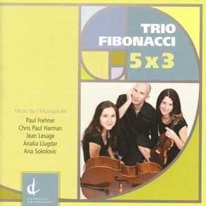 5x3