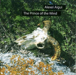 The prince of the wind