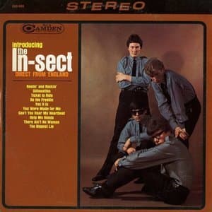 Introducing The In-Sect Direct From England