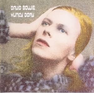 Hunky Dory