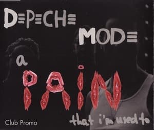 A Pain That I'm Used To