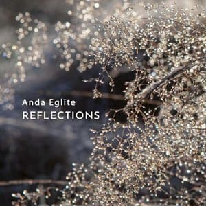 Reflections