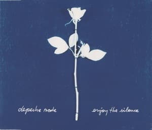 Enjoy The Silence