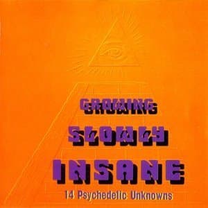 Growing Slowly Insane - 14 Psychedelic Unknowns