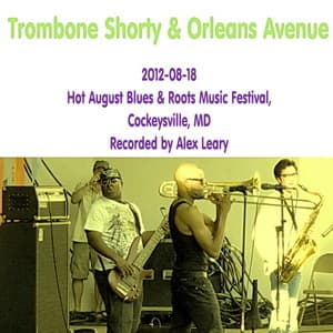 2012-08-18, Hot August Blues & Roots Music Festival, Cockeysville, MD