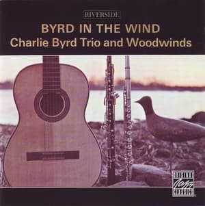 Byrd In The Wind