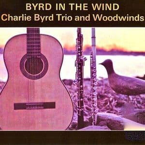 Byrd In The Wind