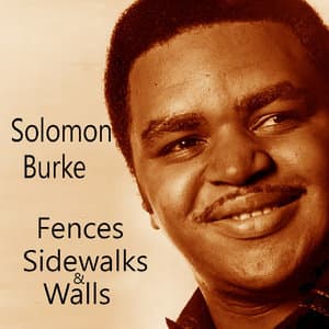 Fences, Sidewalks & Walls