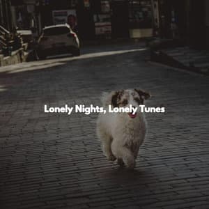 Lonely Nights, Lonely Tunes