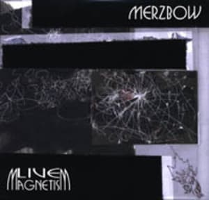 Live Magnetism
