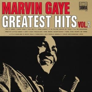 Greatest Hits Vol. 2