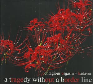 A Tragedy without a Border Line