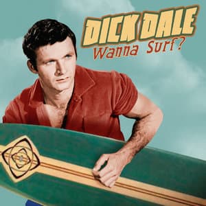 Wanna Surf? 