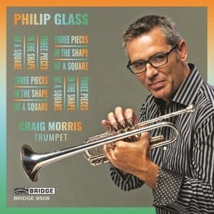 Glass: 3 Pieces in the Shape of a Square