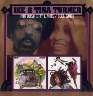 Nutbush City Limits / Feel Good