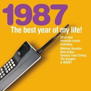 1987 The Best Year Of My Life!