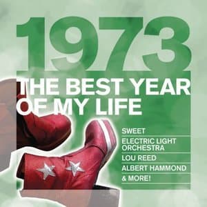 1973 The Best Year Of My Life