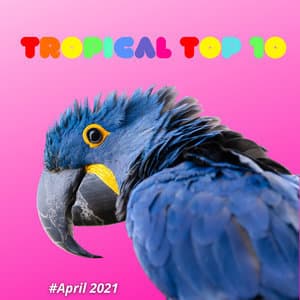 Tropical Top 10