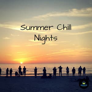 Summer Chill Nights