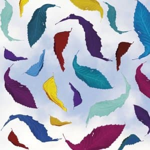 True Faith Remix