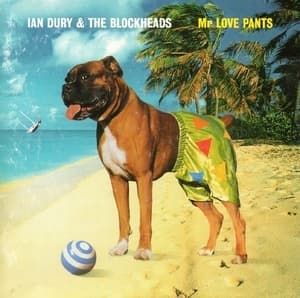 Mr Love Pants