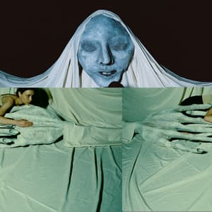 The Rot