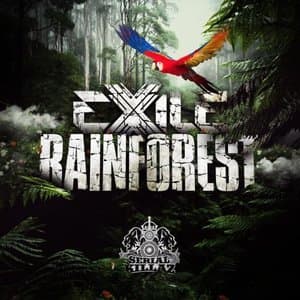 Rainforest